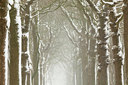 BUITEN BEELD Foto: 102952