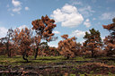 BUITEN BEELD Foto: 103009