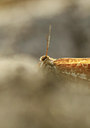 BUITEN BEELD Foto: 103025