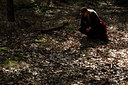 BUITEN BEELD Foto: 103060