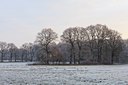 BUITEN BEELD Foto: 103065