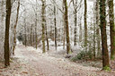 BUITEN BEELD Foto: 103066