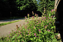 BUITEN BEELD Foto: 103149