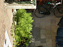 BUITEN BEELD Foto: 103243