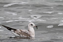 BUITEN BEELD Foto: 103312