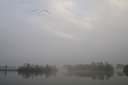 BUITEN BEELD Foto: 103331
