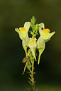 BUITEN BEELD Foto: 103360