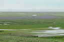 BUITEN BEELD Foto: 103400