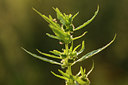 BUITEN BEELD Foto: 103424