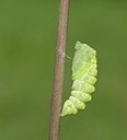 BUITEN BEELD Foto: 103439