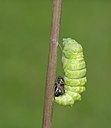 BUITEN BEELD Foto: 103440