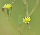 BUITEN BEELD Foto: 103555