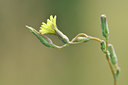 BUITEN BEELD Foto: 103556