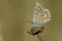 BUITEN BEELD Foto: 103599