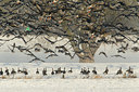 BUITEN BEELD Foto: 103624