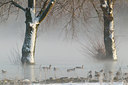 BUITEN BEELD Foto: 103626