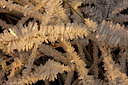 BUITEN BEELD Foto: 103666