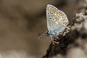 BUITEN BEELD Foto: 103702