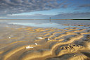 BUITEN BEELD Foto: 103776