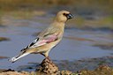 BUITEN BEELD Foto: 103822