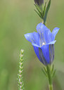 BUITEN BEELD Foto: 104026