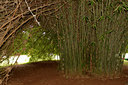 BUITEN BEELD Foto: 104054