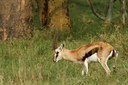 BUITEN BEELD Foto: 104109