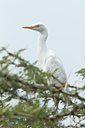 BUITEN BEELD Foto: 104140