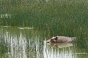 BUITEN BEELD Foto: 104235