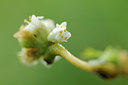 BUITEN BEELD Foto: 104332