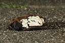 BUITEN BEELD Foto: 104344