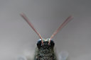 BUITEN BEELD Foto: 104410