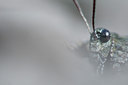 BUITEN BEELD Foto: 104412