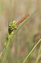 BUITEN BEELD Foto: 104446