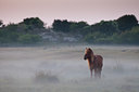 BUITEN BEELD Foto: 104465