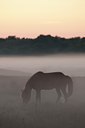 BUITEN BEELD Foto: 104469