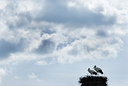 BUITEN BEELD Foto: 104480