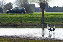 BUITEN BEELD Foto: 104499