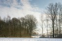 BUITEN BEELD Foto: 104609