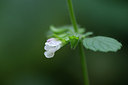 BUITEN BEELD Foto: 105055