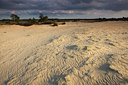 BUITEN BEELD Foto: 105094