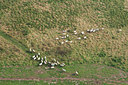 BUITEN BEELD Foto: 105207