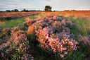 BUITEN BEELD Foto: 105211