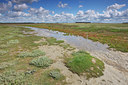 BUITEN BEELD Foto: 105279
