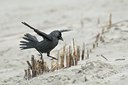 BUITEN BEELD Foto: 105371