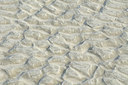 BUITEN BEELD Foto: 105375