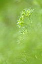 BUITEN BEELD Foto: 105388