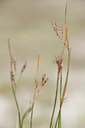BUITEN BEELD Foto: 105398
