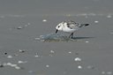 BUITEN BEELD Foto: 105414