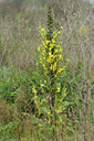 BUITEN BEELD Foto: 105434